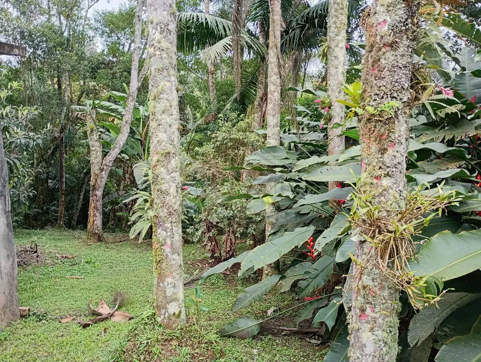 Chácara, 2 quartos, 10 m² - Foto 14