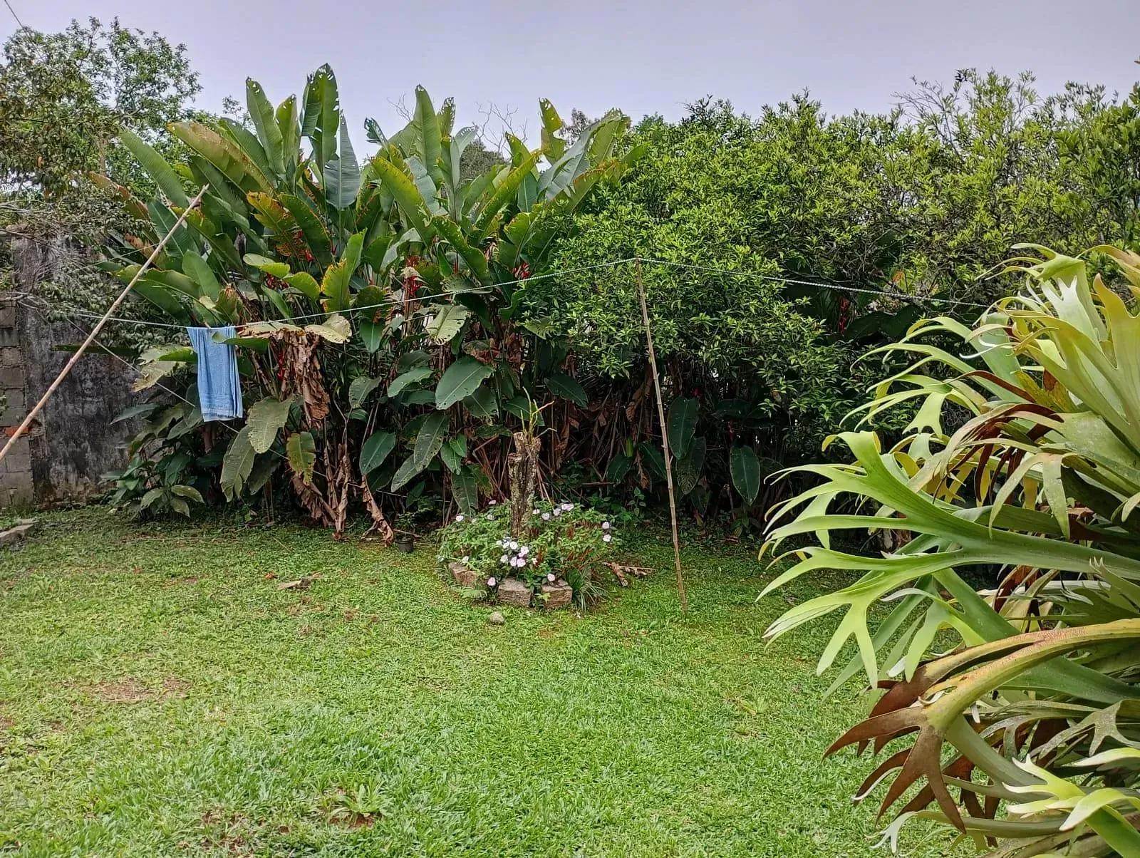 Chácara, 2 quartos, 10 m² - Foto 15