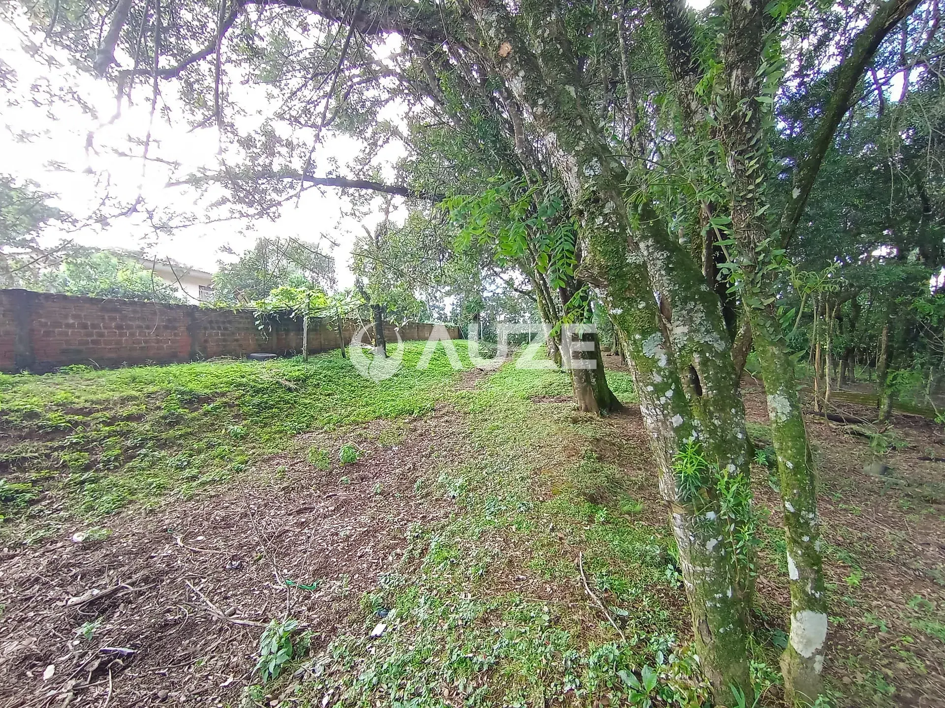 Chácara, 3 quartos, 5000 m² - Foto 29