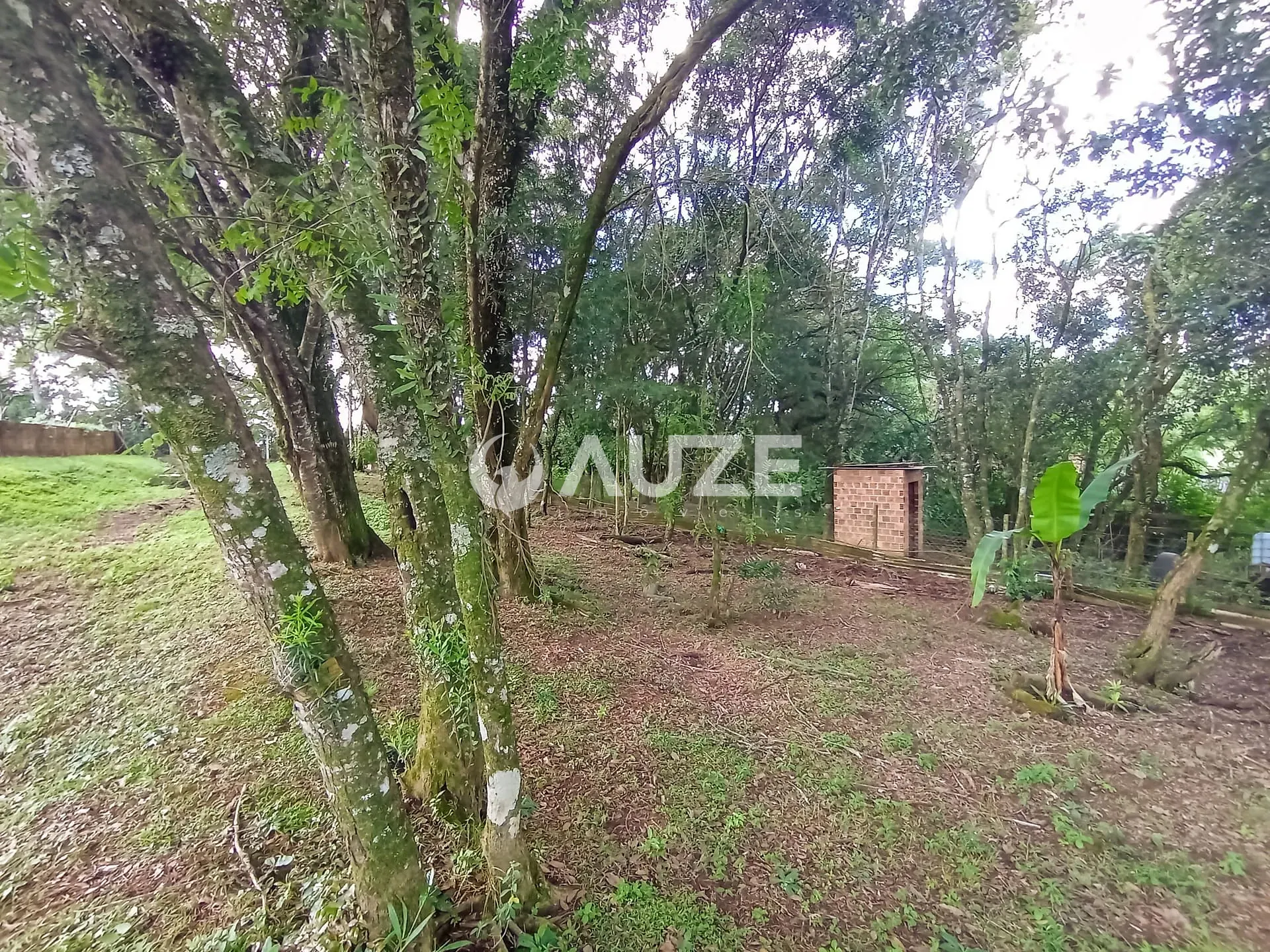 Chácara, 3 quartos, 5000 m² - Foto 27