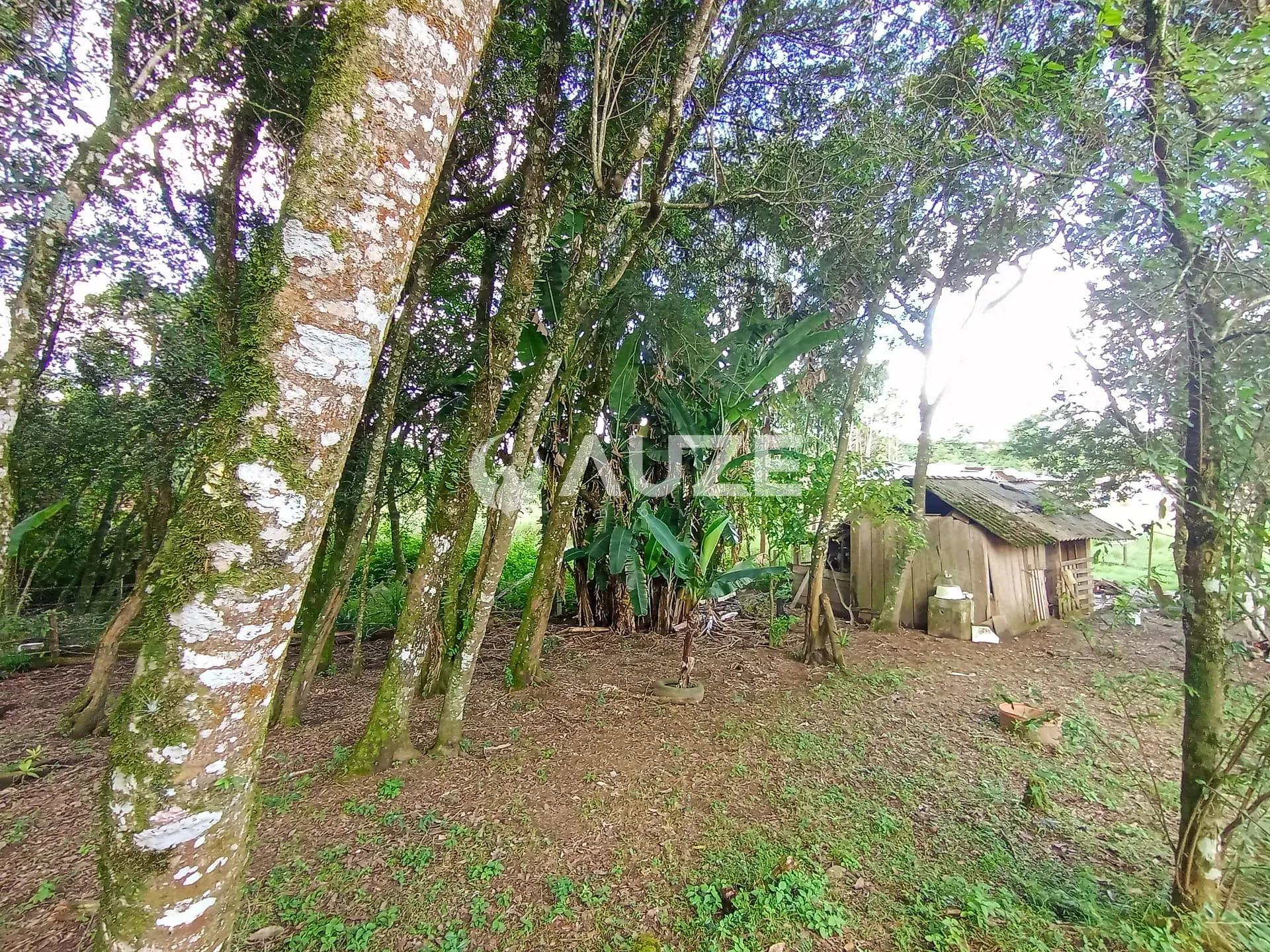 Chácara, 3 quartos, 5000 m² - Foto 28