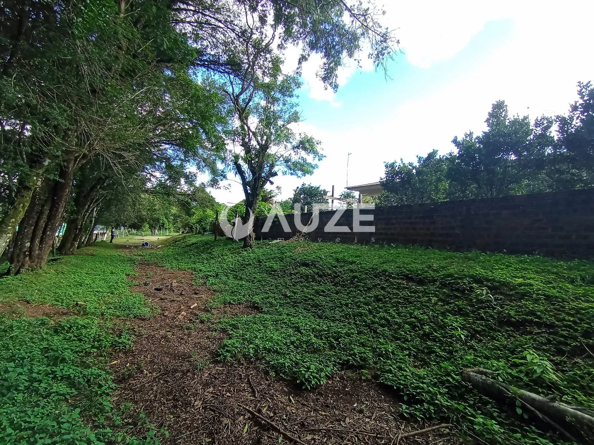 Chácara, 3 quartos, 5000 m² - Foto 30