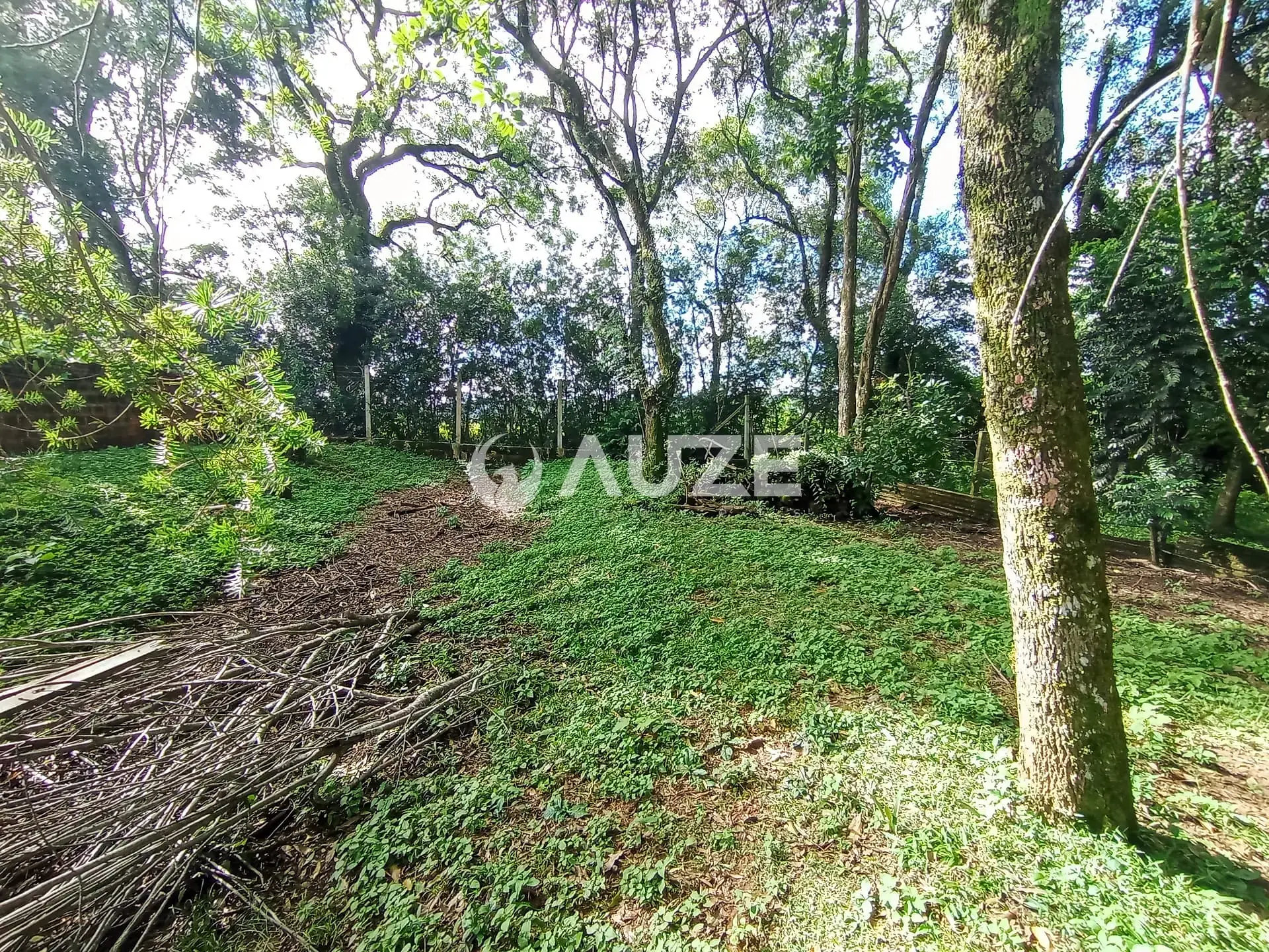 Chácara, 3 quartos, 5000 m² - Foto 31