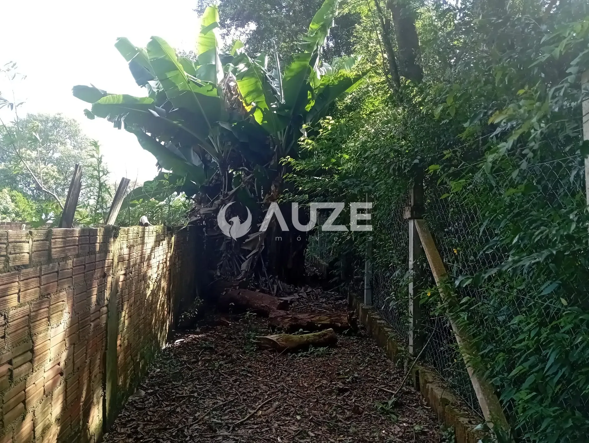 Chácara, 3 quartos, 5000 m² - Foto 32