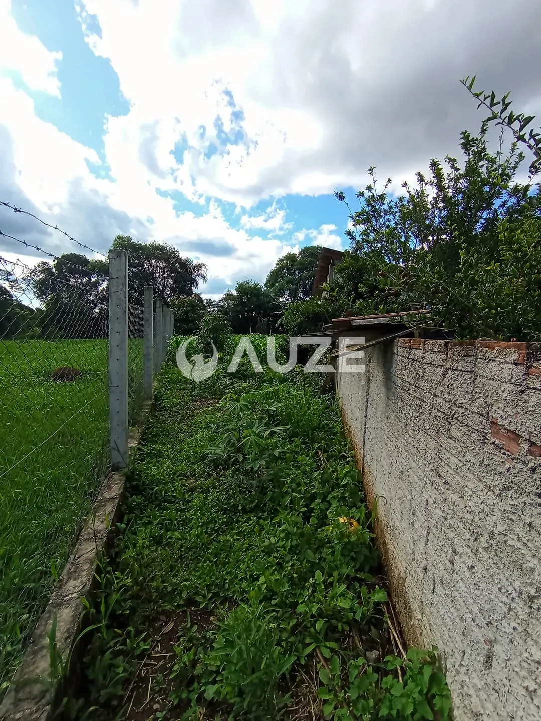 Chácara, 3 quartos, 5000 m² - Foto 3
