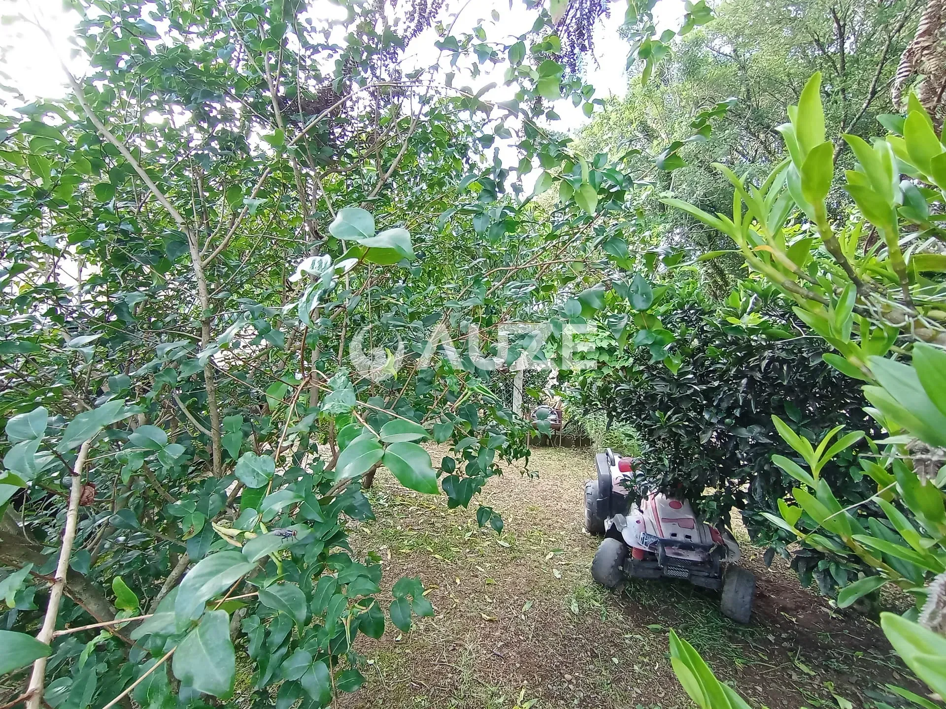 Chácara, 3 quartos, 5000 m² - Foto 24
