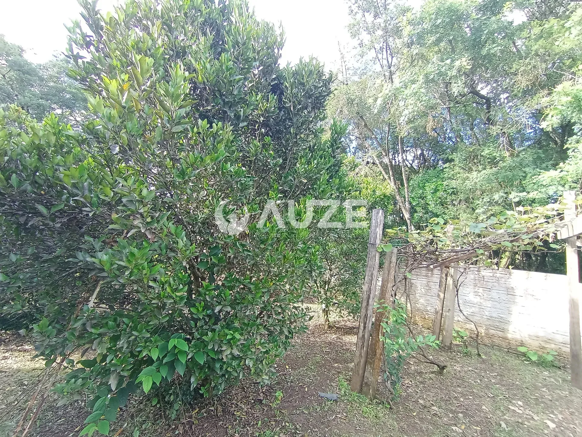 Chácara, 3 quartos, 5000 m² - Foto 22