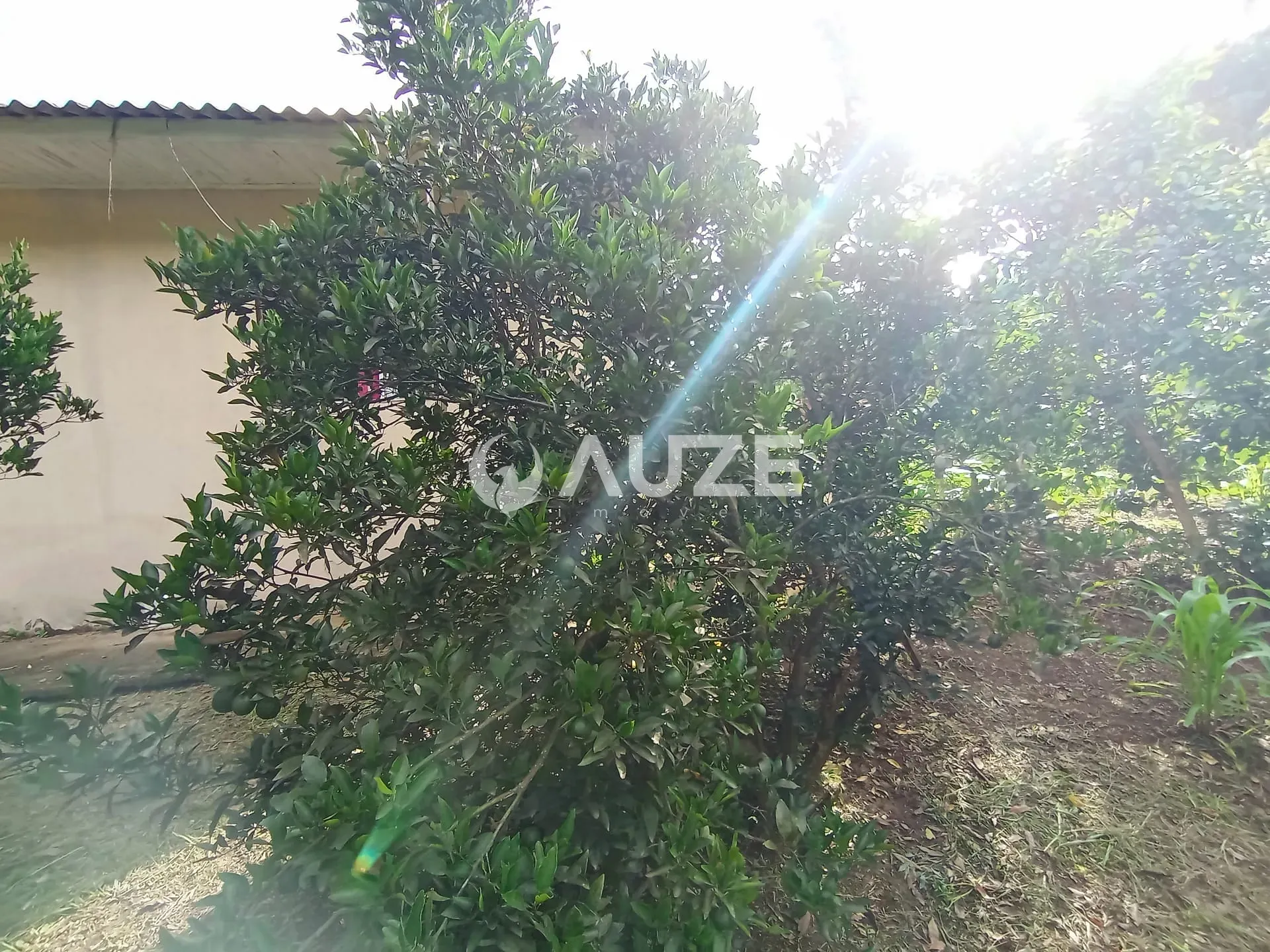 Chácara, 3 quartos, 5000 m² - Foto 21