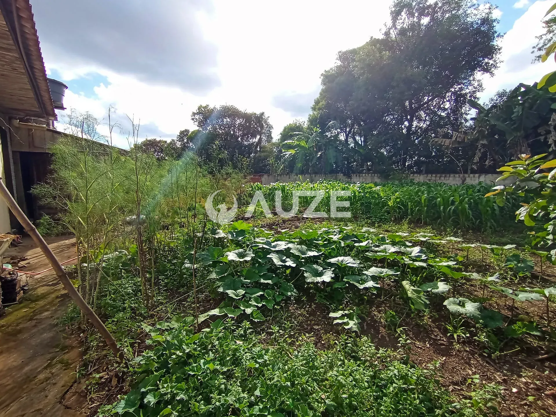 Chácara, 3 quartos, 5000 m² - Foto 17