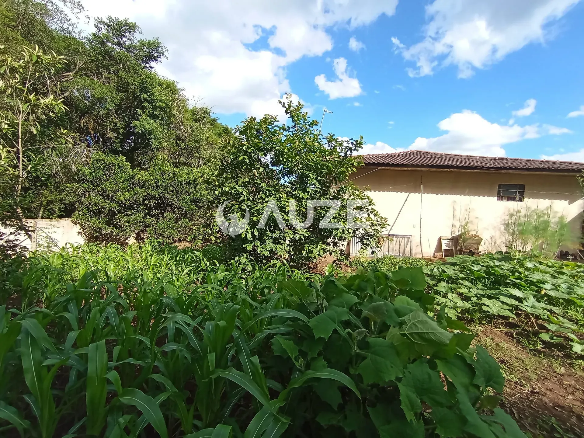 Chácara, 3 quartos, 5000 m² - Foto 15