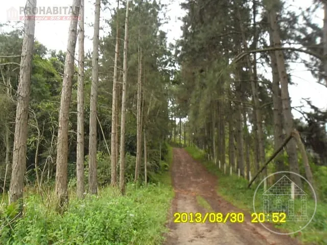 Chácara com 24000m² 3 quartos e 2 banheiros, à venda, no bairro Balneário São José em São Paulo
