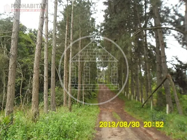 Chácara com 24000m² 3 quartos e 2 banheiros, à venda, no bairro Balneário São José em São Paulo