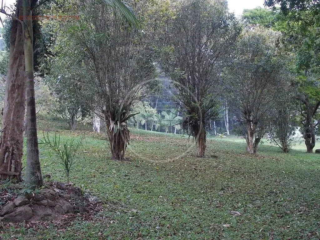 Sítio, 3 quartos, 2 hectares - Foto 11