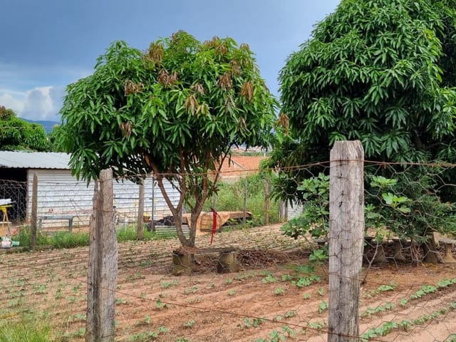 Chácara com 4781m², à venda, no bairro Jardim das Tulipas em São João da Boa Vista