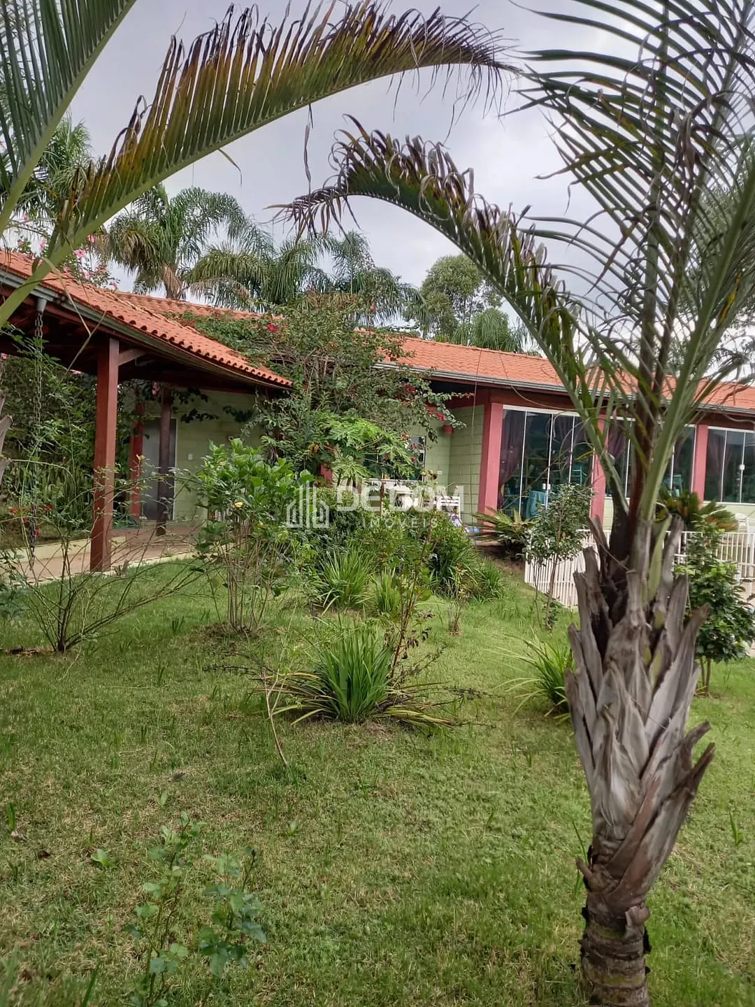 Chácara, 4 quartos, 2418 m² - Foto 6