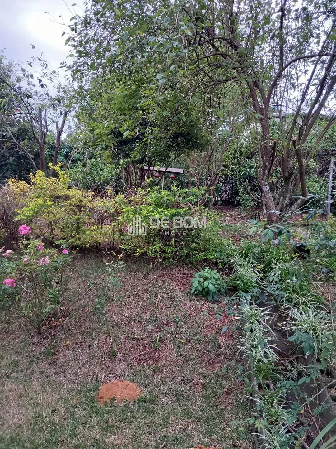 Chácara, 4 quartos, 2418 m² - Foto 32