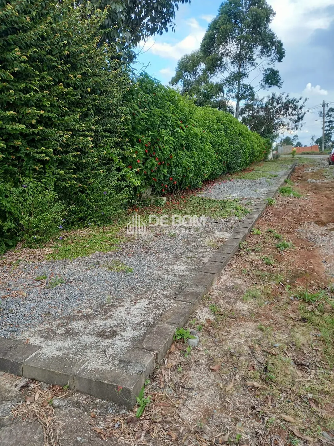 Chácara, 4 quartos, 2418 m² - Foto 40