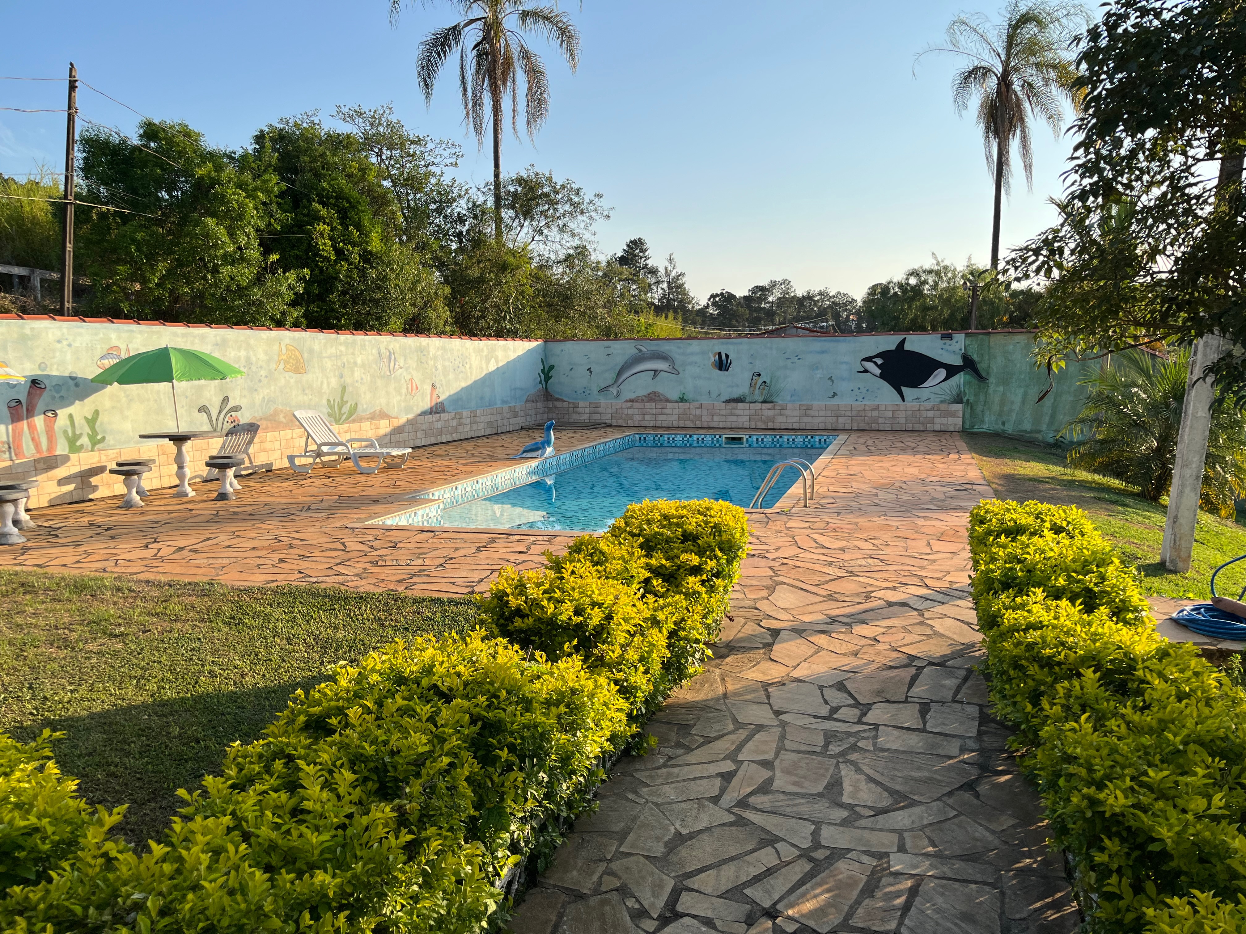 Chácara, 2 quartos, 979 m² - Foto 38