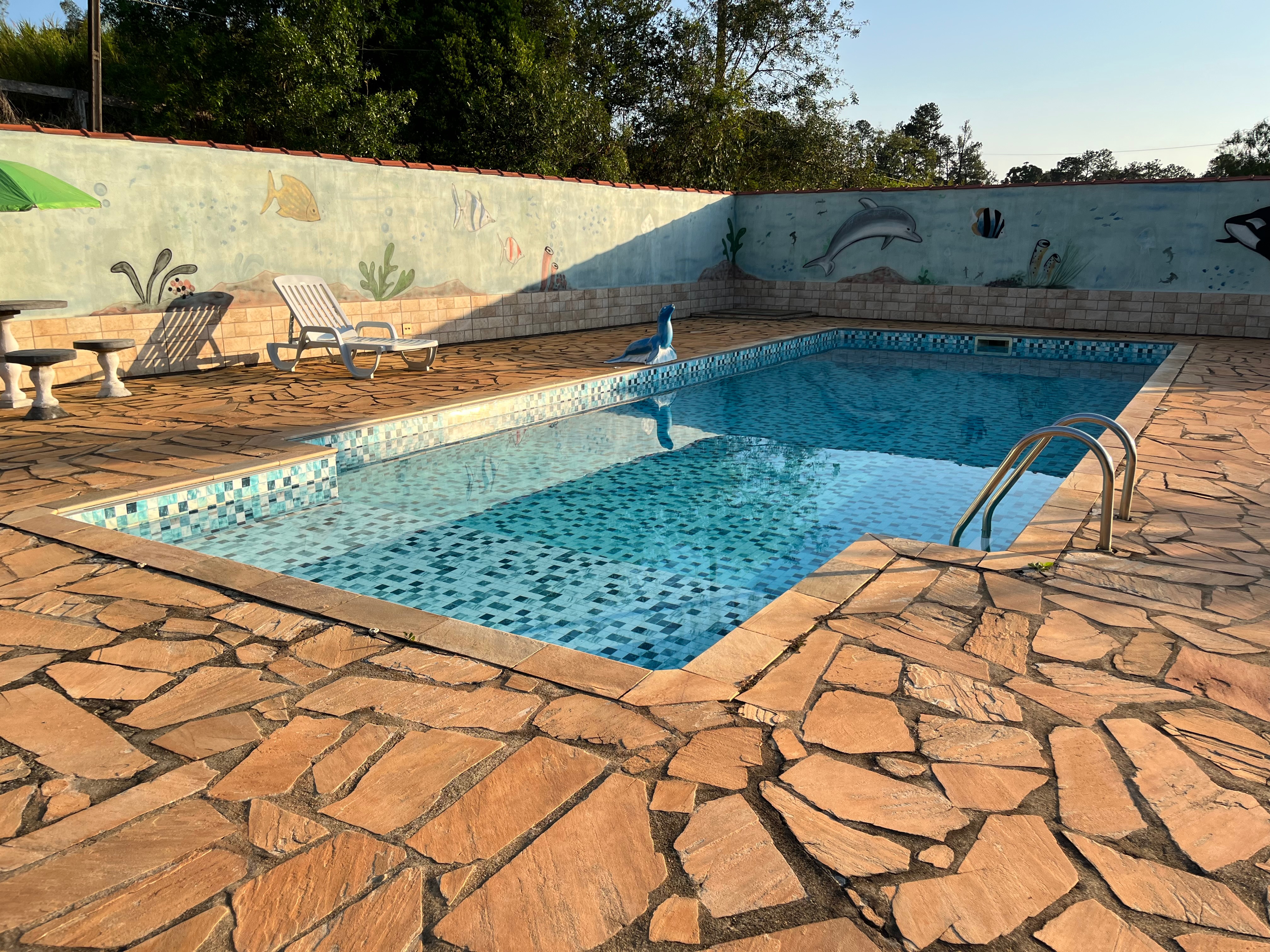 Chácara, 2 quartos, 979 m² - Foto 39