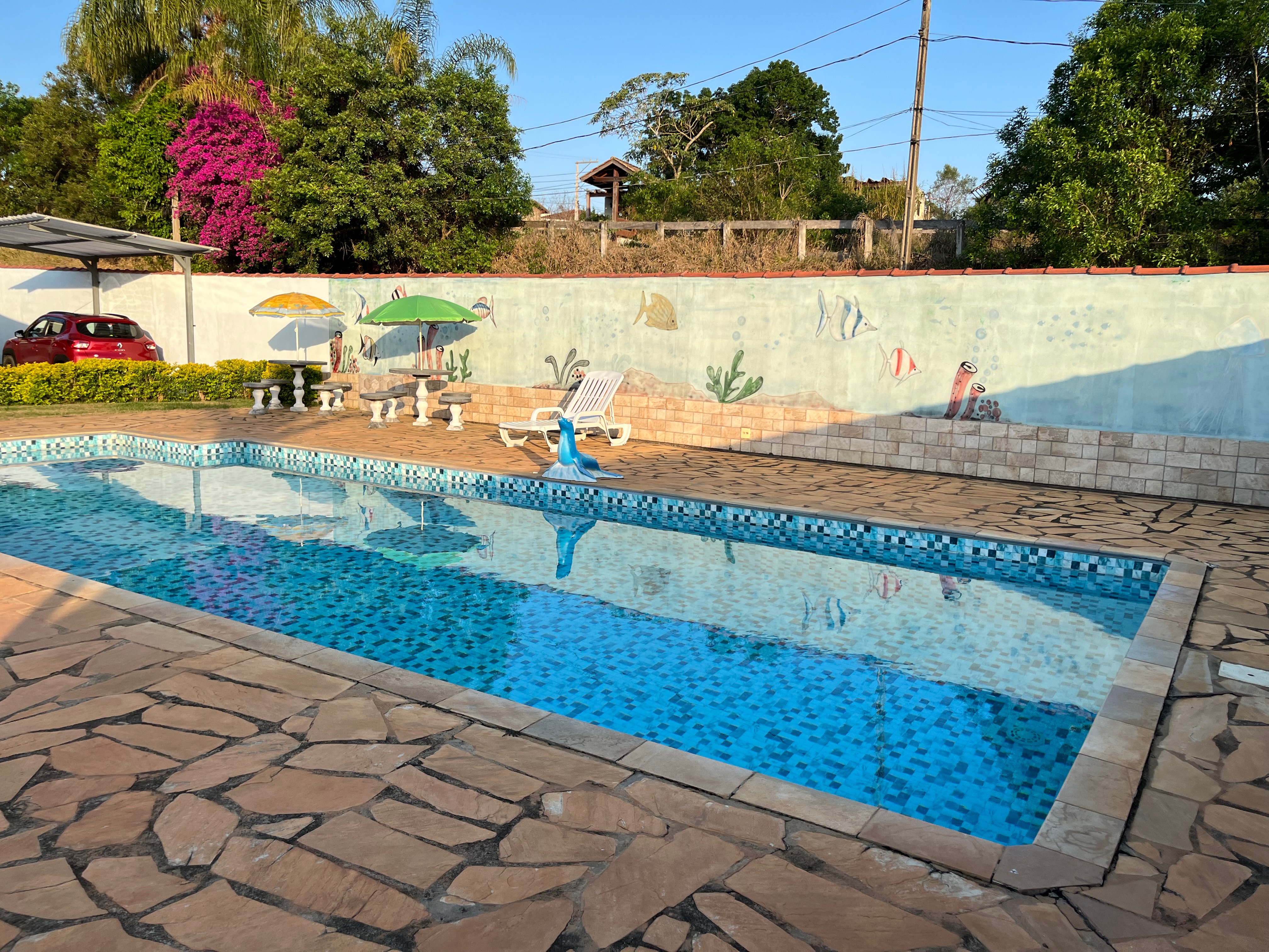 Chácara, 2 quartos, 979 m² - Foto 33