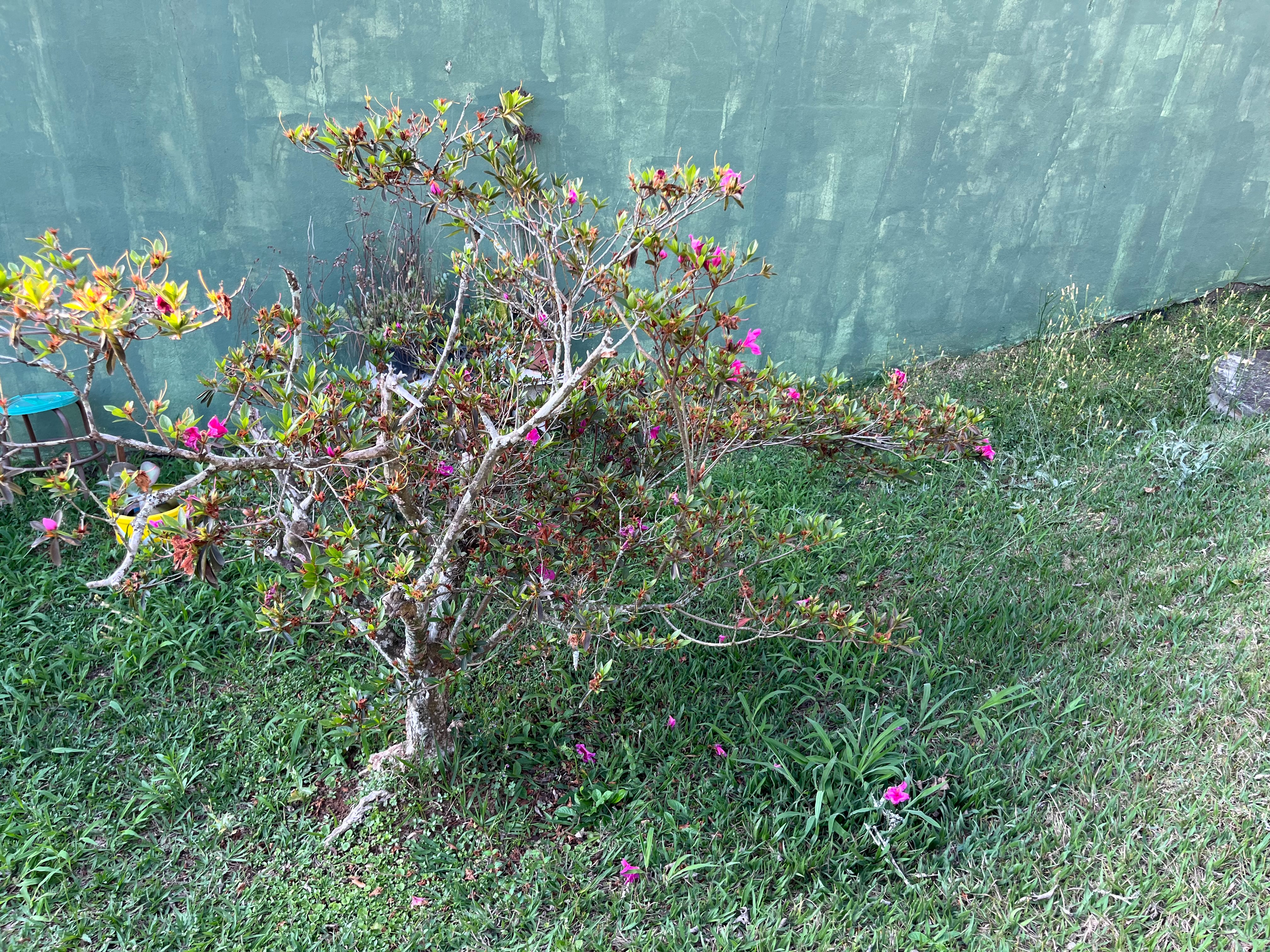 Chácara, 2 quartos, 979 m² - Foto 45