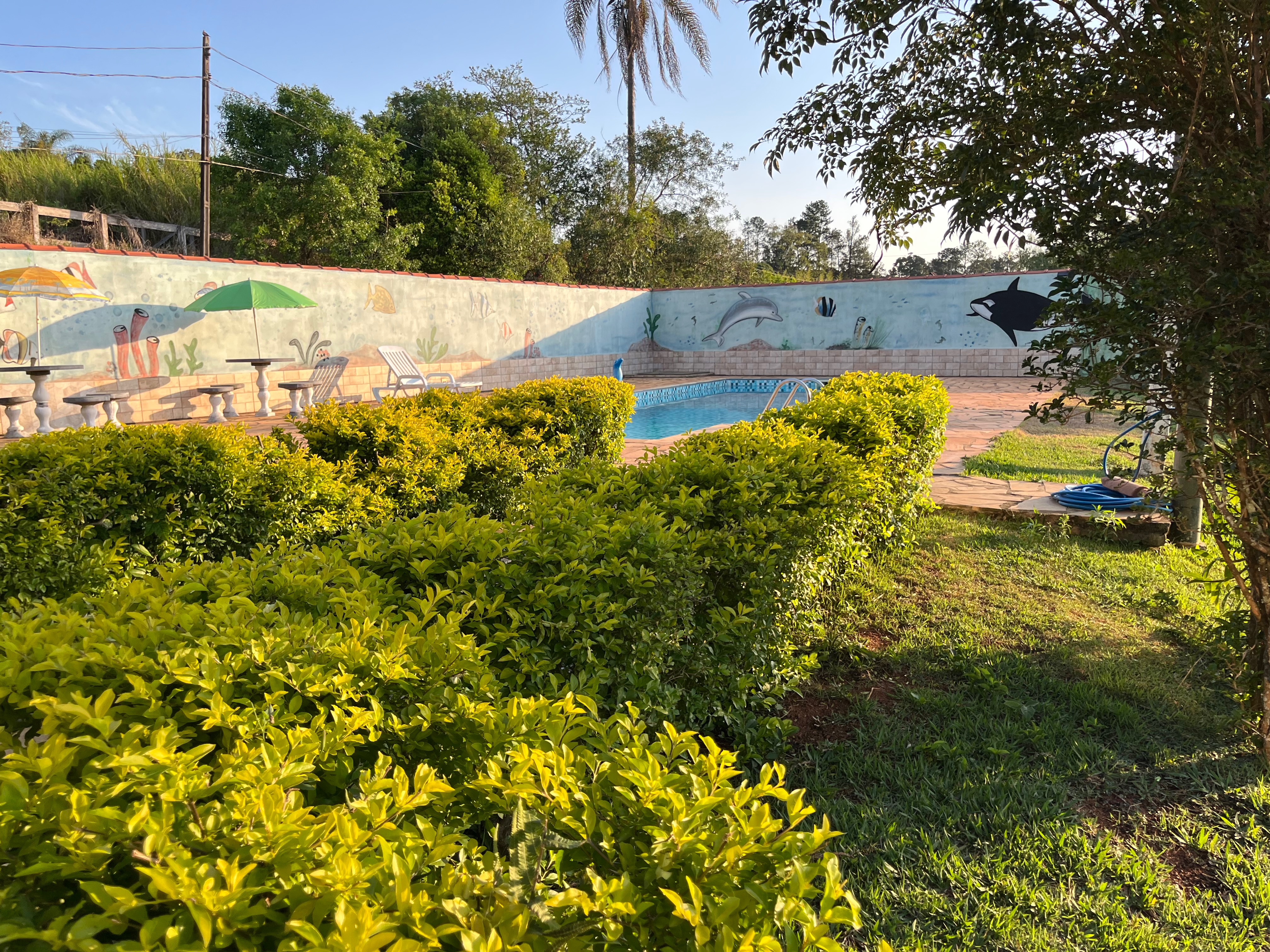 Chácara, 2 quartos, 979 m² - Foto 47