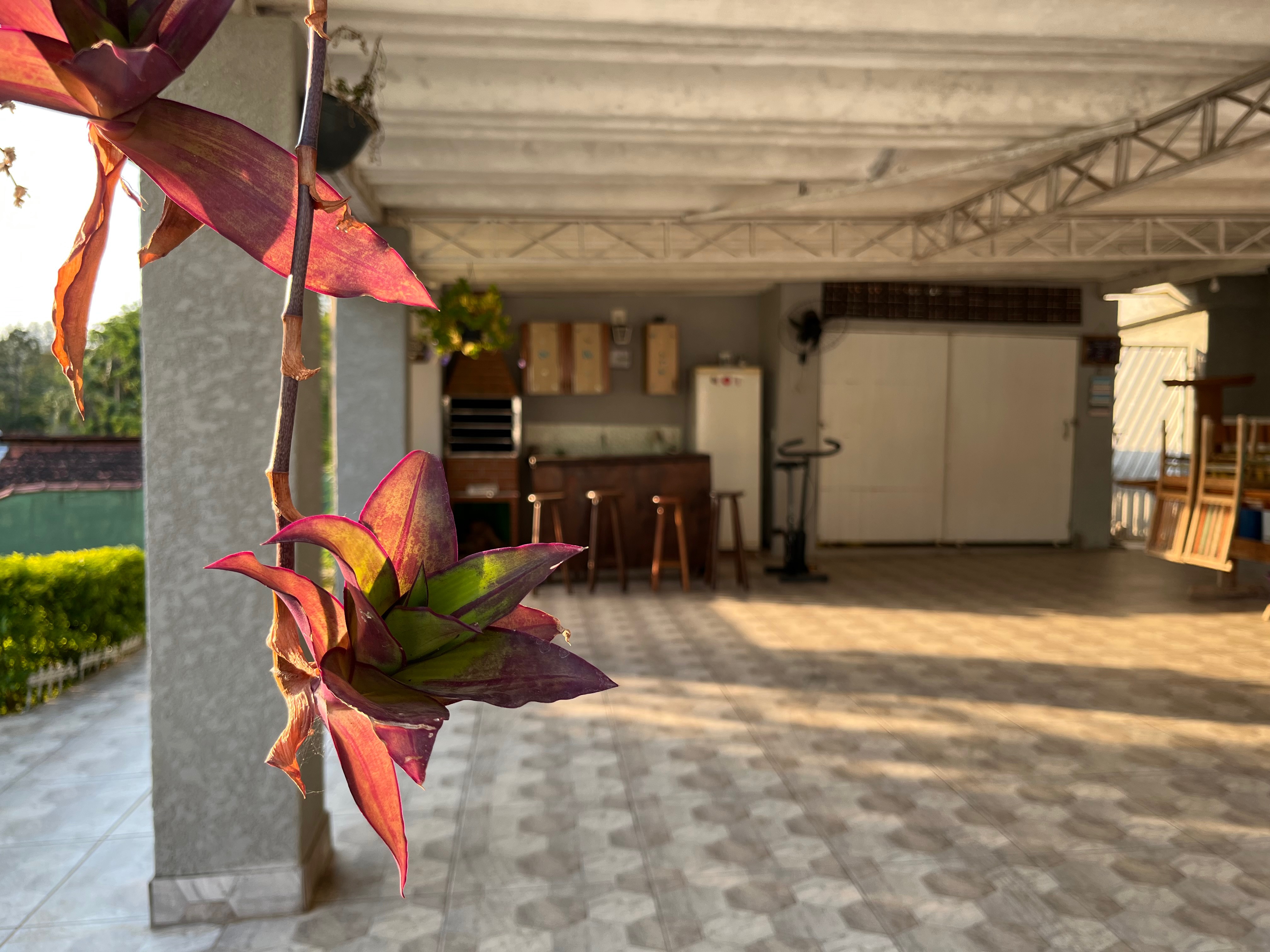 Chácara, 2 quartos, 979 m² - Foto 50