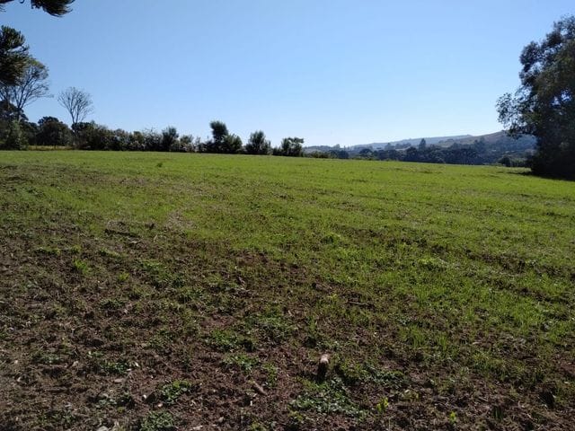 Foto do Chácara - Chácara Rural à venda 27 alqueires ou 653.400m² ou 65.34 hectares, possibilidade de plantio soja de 10 alqueires, Zona Rural, Lapa, PR | Imobiliária GreenVille