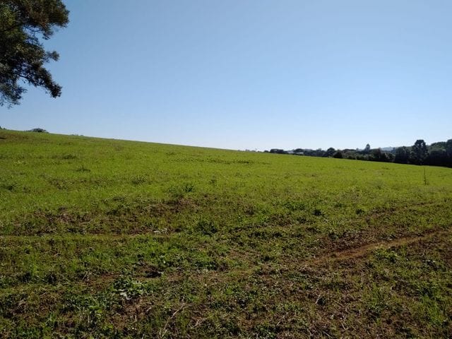 Foto do Chácara - Chácara Rural à venda 27 alqueires ou 653.400m² ou 65.34 hectares, possibilidade de plantio soja de 10 alqueires, Zona Rural, Lapa, PR | Imobiliária GreenVille