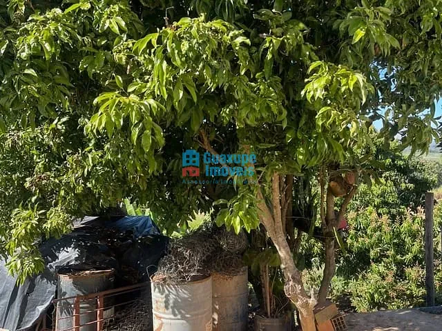 Chácara com 1500m², à venda, no bairro RECANTO CAMPESTRE em GUAXUPÉ