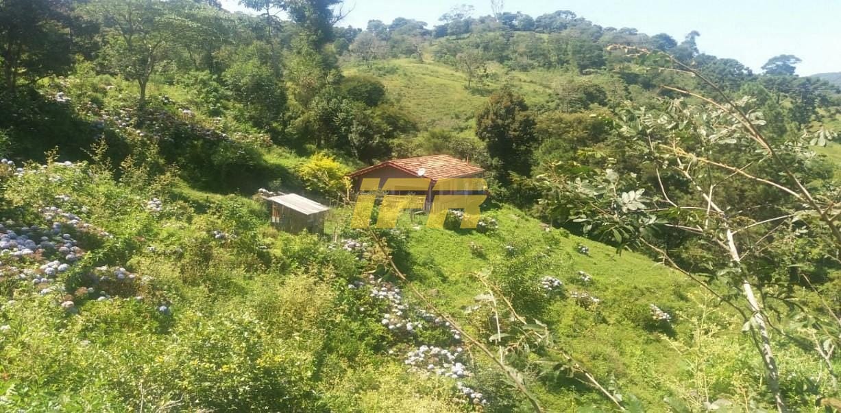 Chácara, 3 quartos, 2 hectares - Foto 3