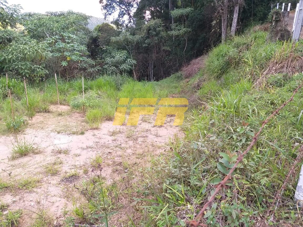 Chácara, 3 quartos, 2 hectares - Foto 62