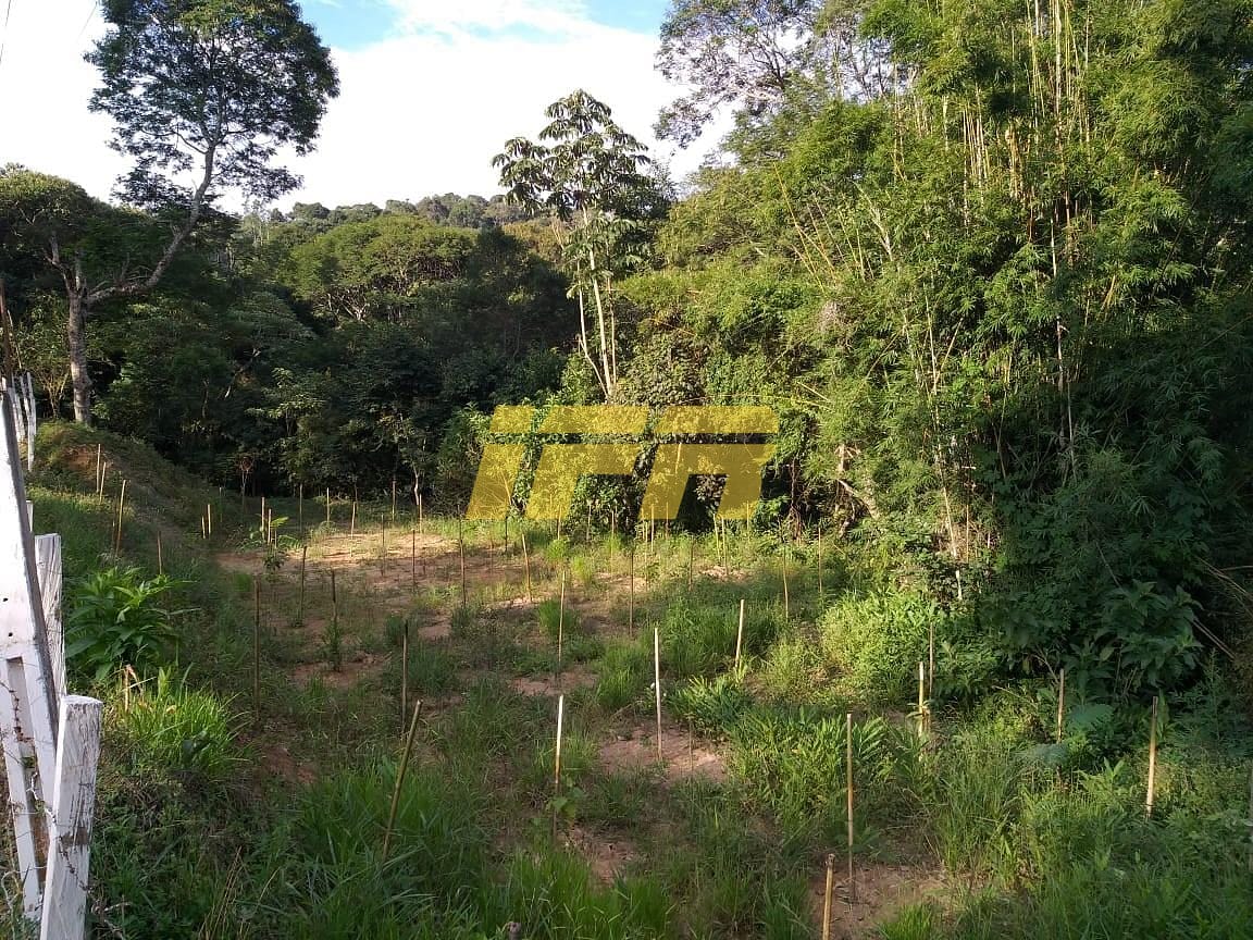 Chácara, 3 quartos, 2 hectares - Foto 60