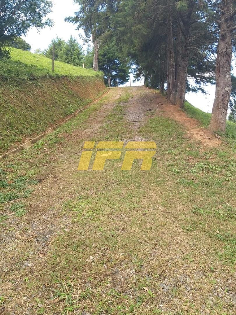 Chácara, 3 quartos, 2 hectares - Foto 42