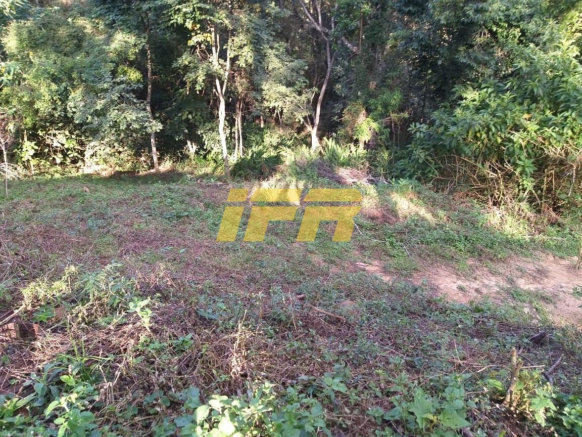 Chácara, 3 quartos, 2 hectares - Foto 61