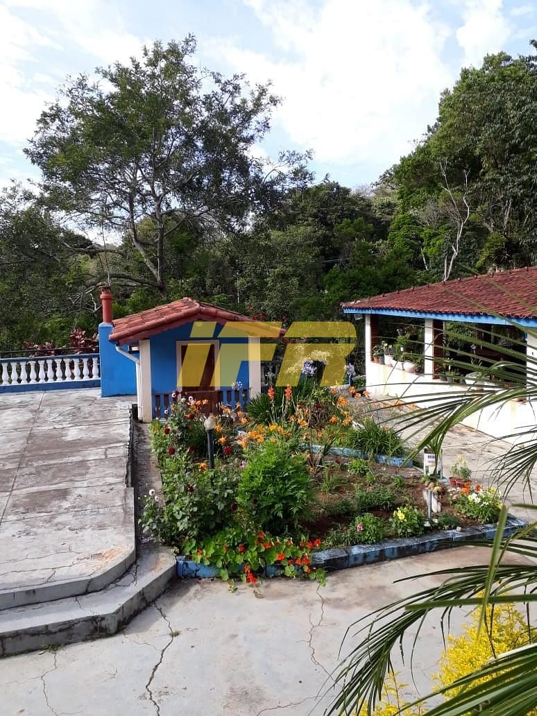 Chácara, 3 quartos, 2 hectares - Foto 20