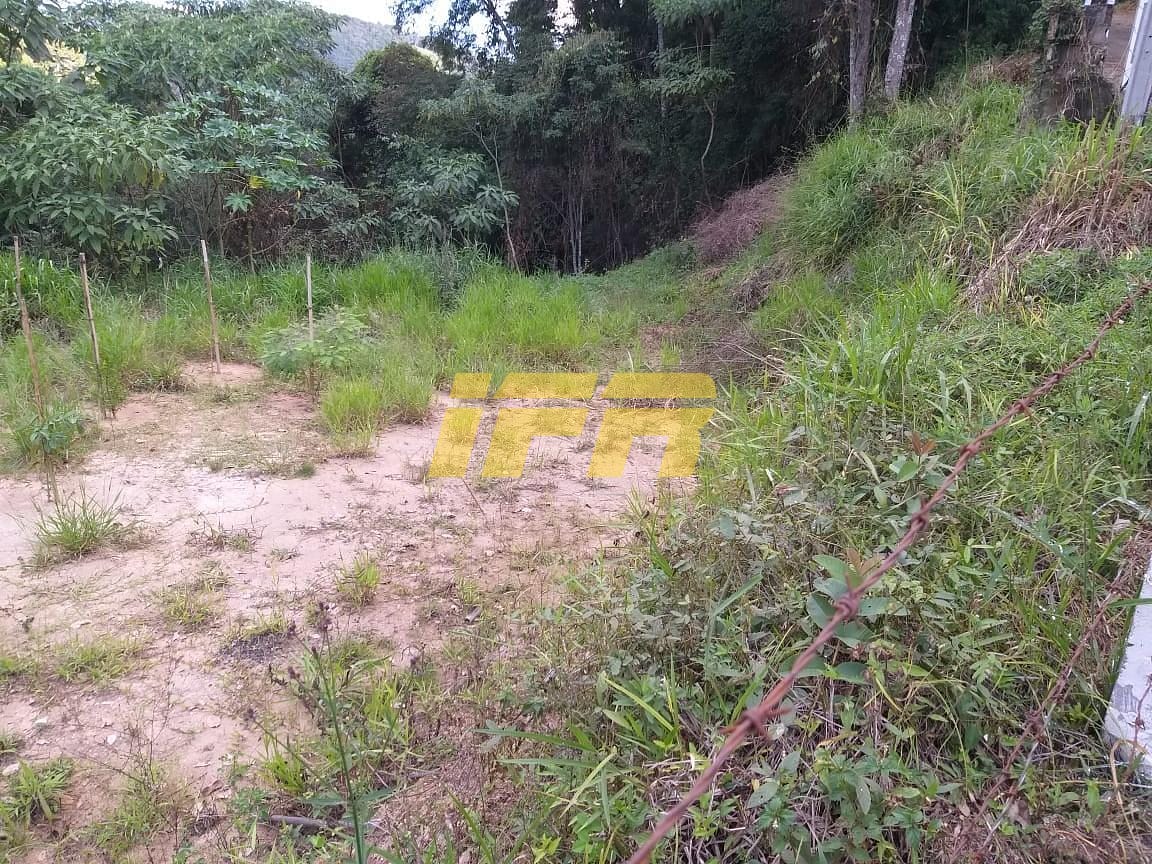 Chácara, 3 quartos, 2 hectares - Foto 63