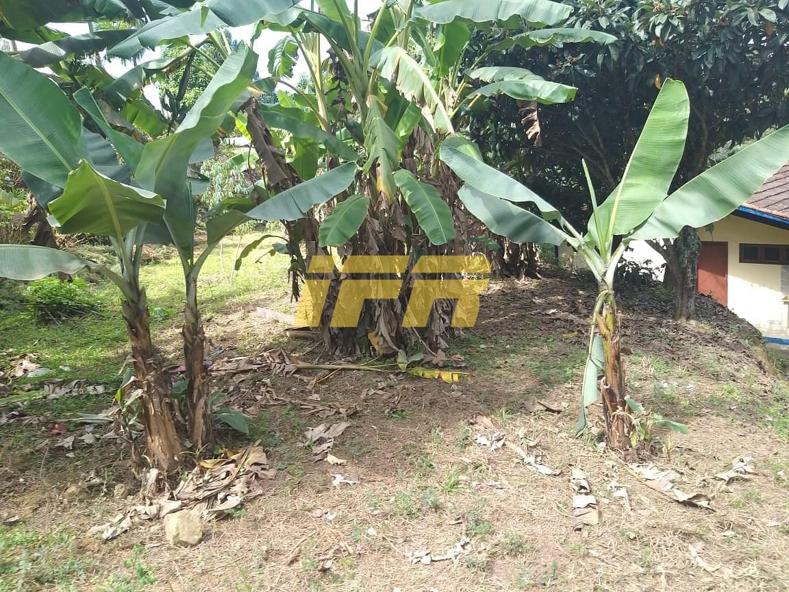 Chácara, 3 quartos, 2 hectares - Foto 50