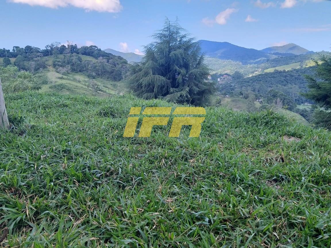 Chácara, 3 quartos, 2 hectares - Foto 46