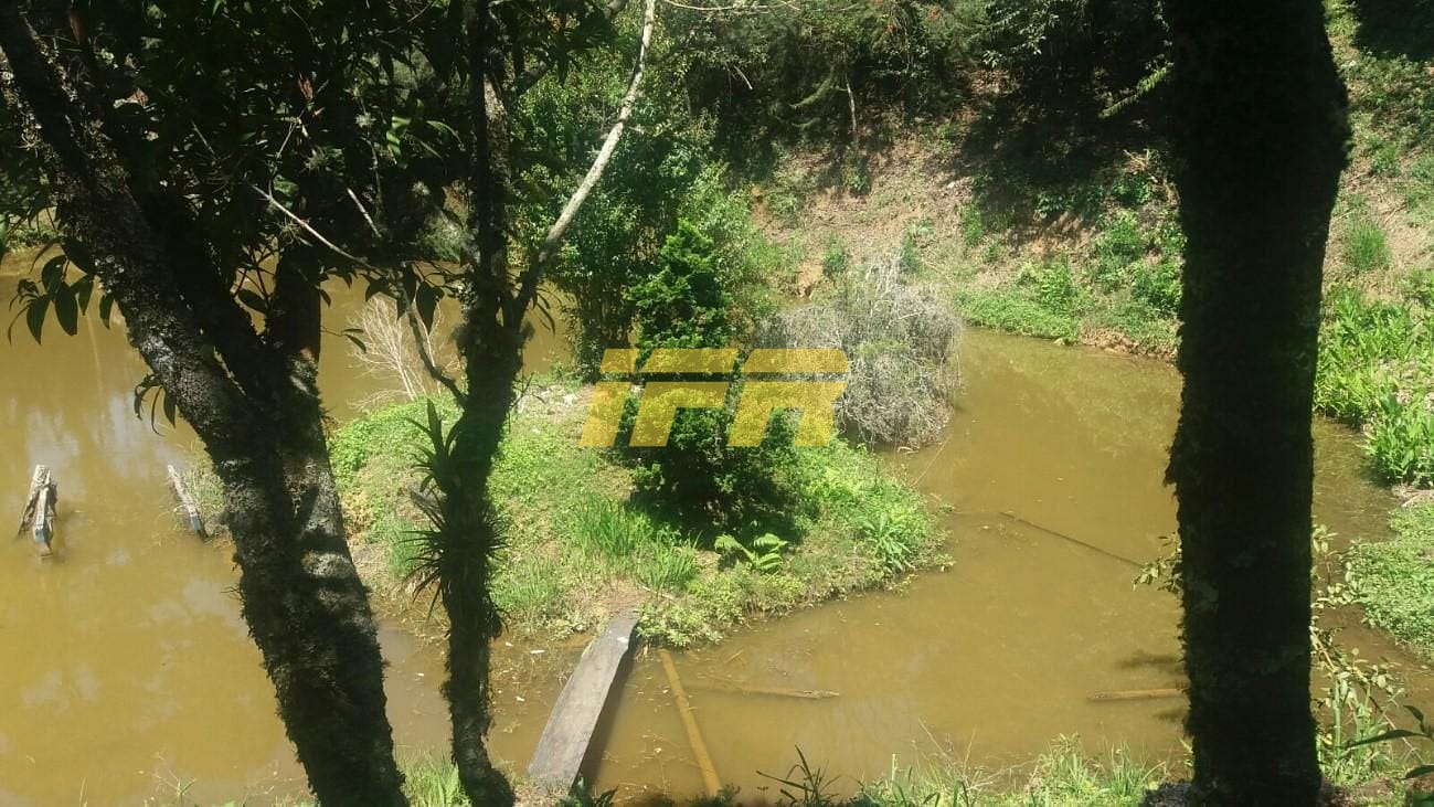 Chácara, 3 quartos, 2 hectares - Foto 39