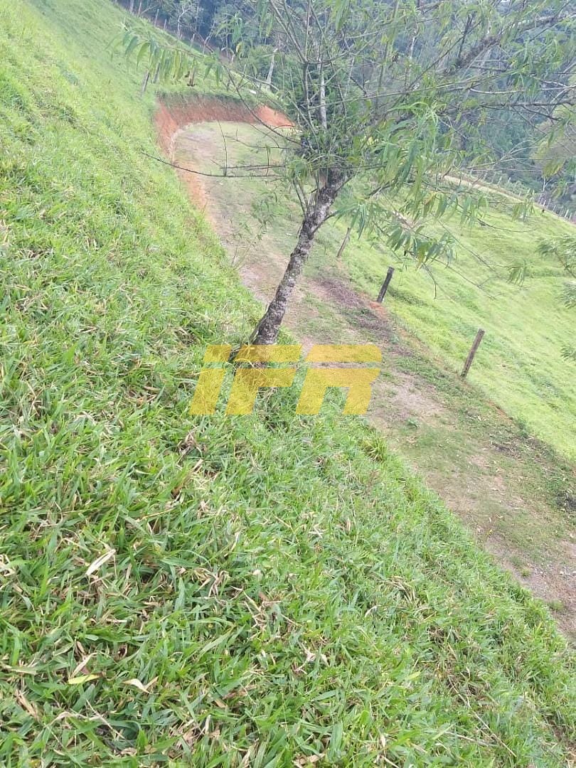 Chácara, 3 quartos, 2 hectares - Foto 43