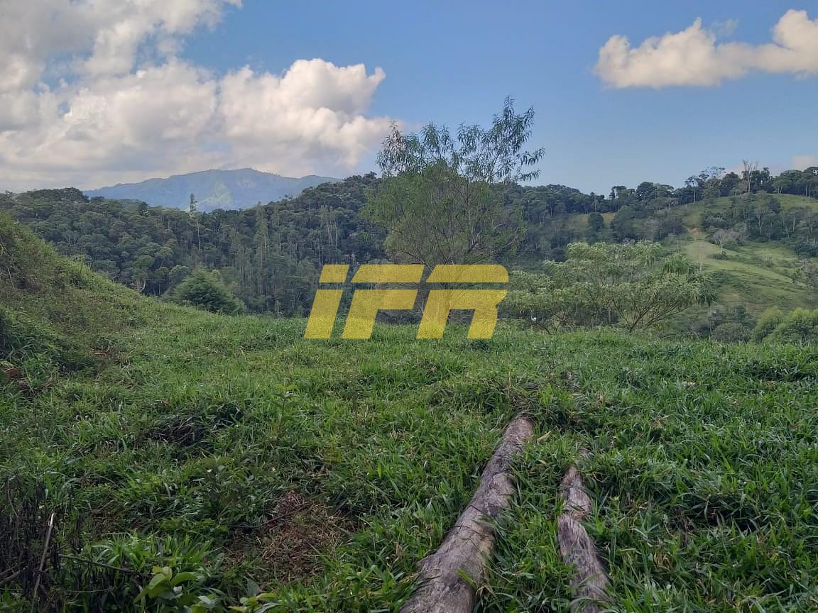 Chácara, 3 quartos, 2 hectares - Foto 45