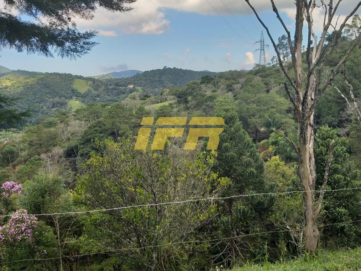 Chácara, 3 quartos, 2 hectares - Foto 41