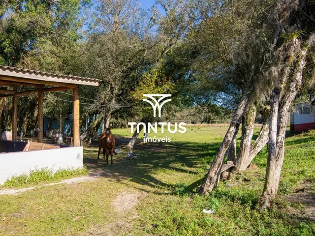 Sítio à venda, no bairro Weissópolis em Pinhais