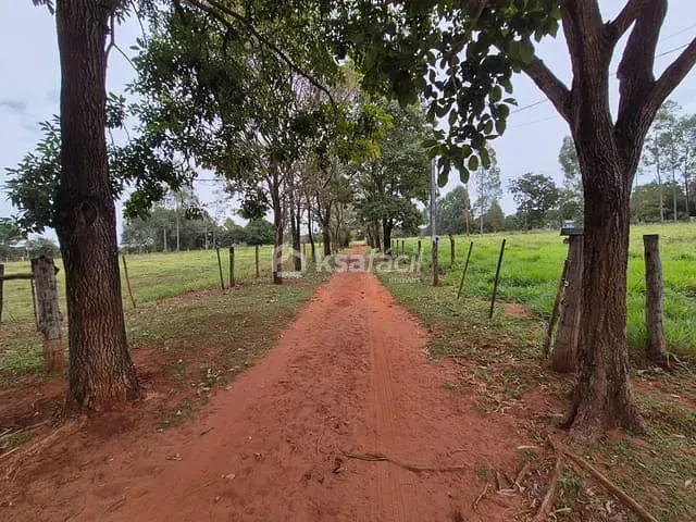 Chácara com 50760m² 4 quartos e 2 banheiros, à venda, no bairro Assoc. Sucuri em Campo Grande