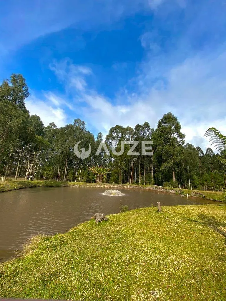Chácara, 3 quartos, 2 hectares - Foto 11