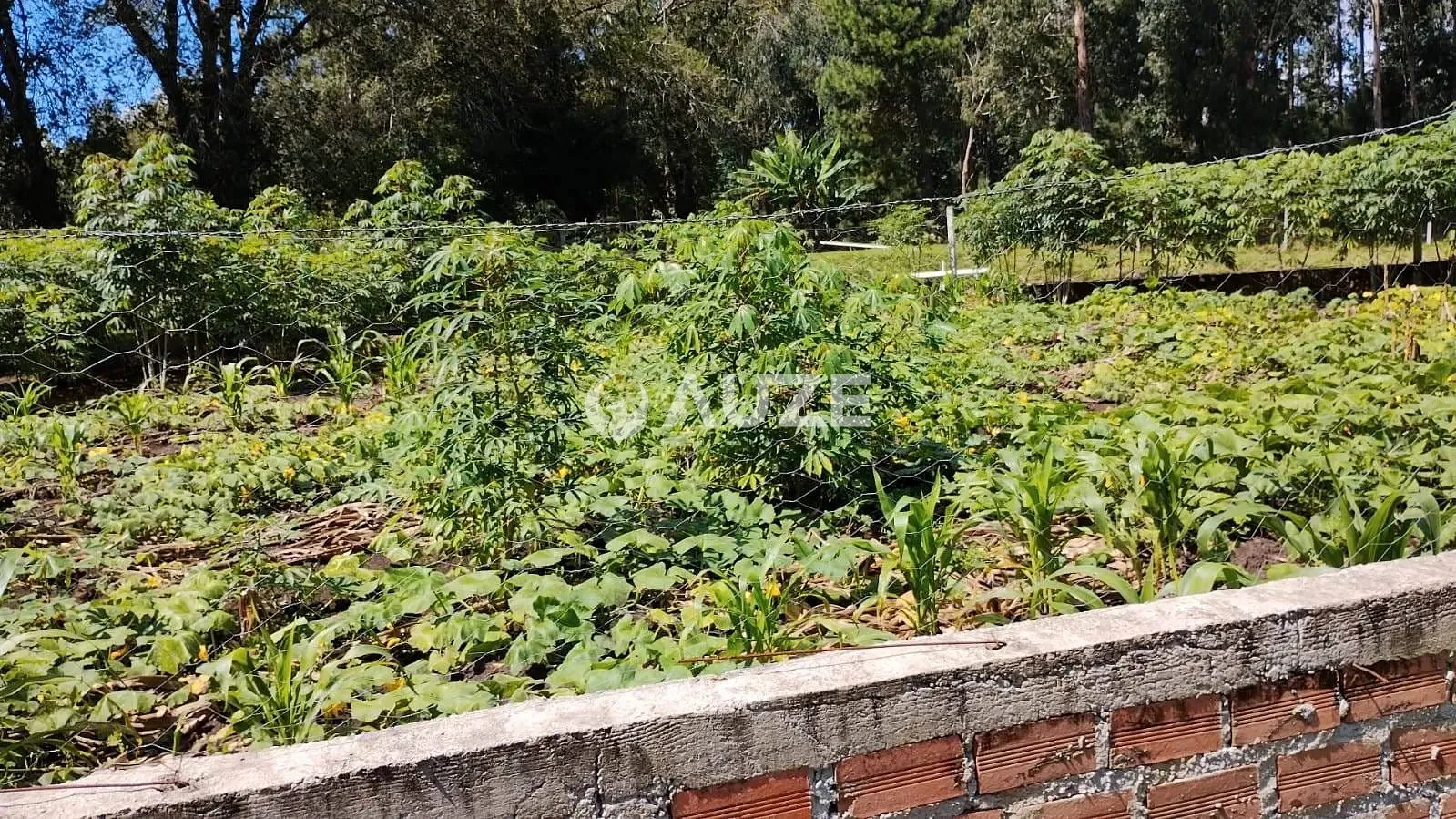 Chácara, 3 quartos, 2 hectares - Foto 17
