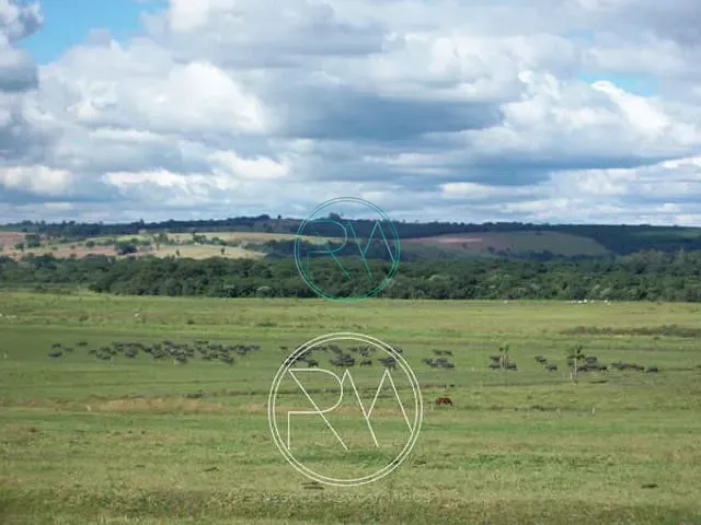 Fazenda com 3000000m², à venda, no bairro Centro em Santana Do Itararé