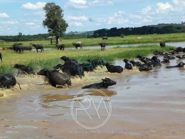 Fazenda com 3000000m², à venda, no bairro Centro em Santana Do Itararé