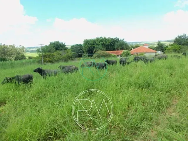 Fazenda com 3000000m², à venda, no bairro Centro em Santana Do Itararé
